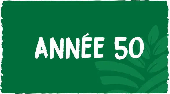 création_annee_50_le_renard